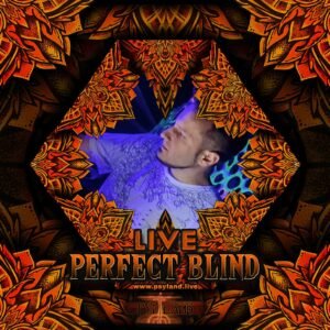 Perfect Blind