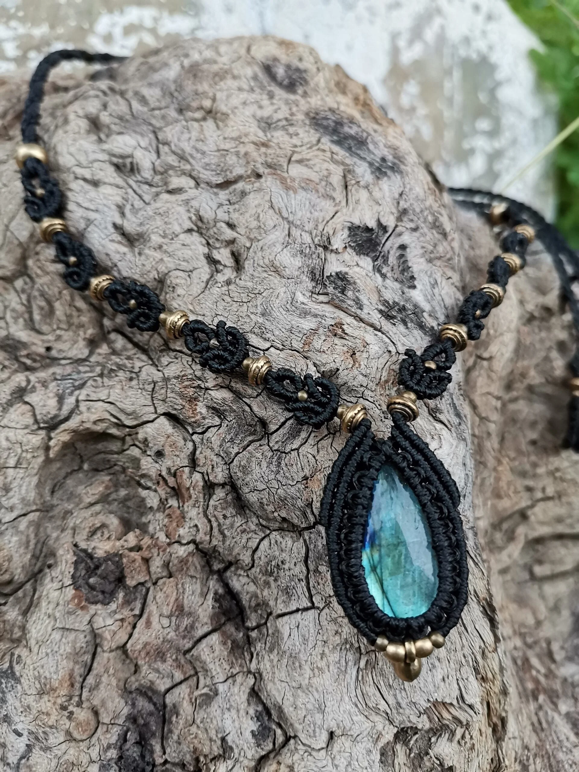 Lotus Moon Design