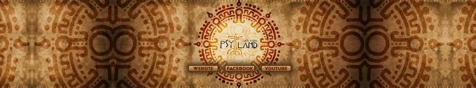 Follow Us On Bandcamp - psyland