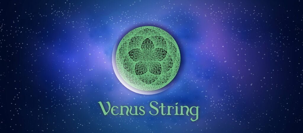 Venus String Art