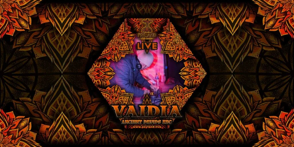 Vaidia